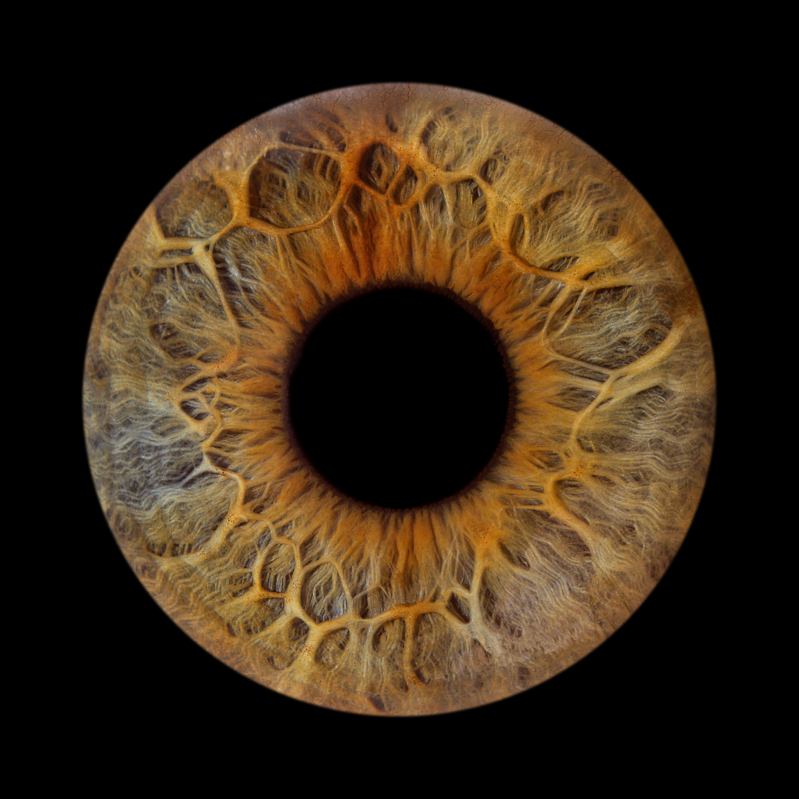 Photo iris yeux maron vert. Iridologie