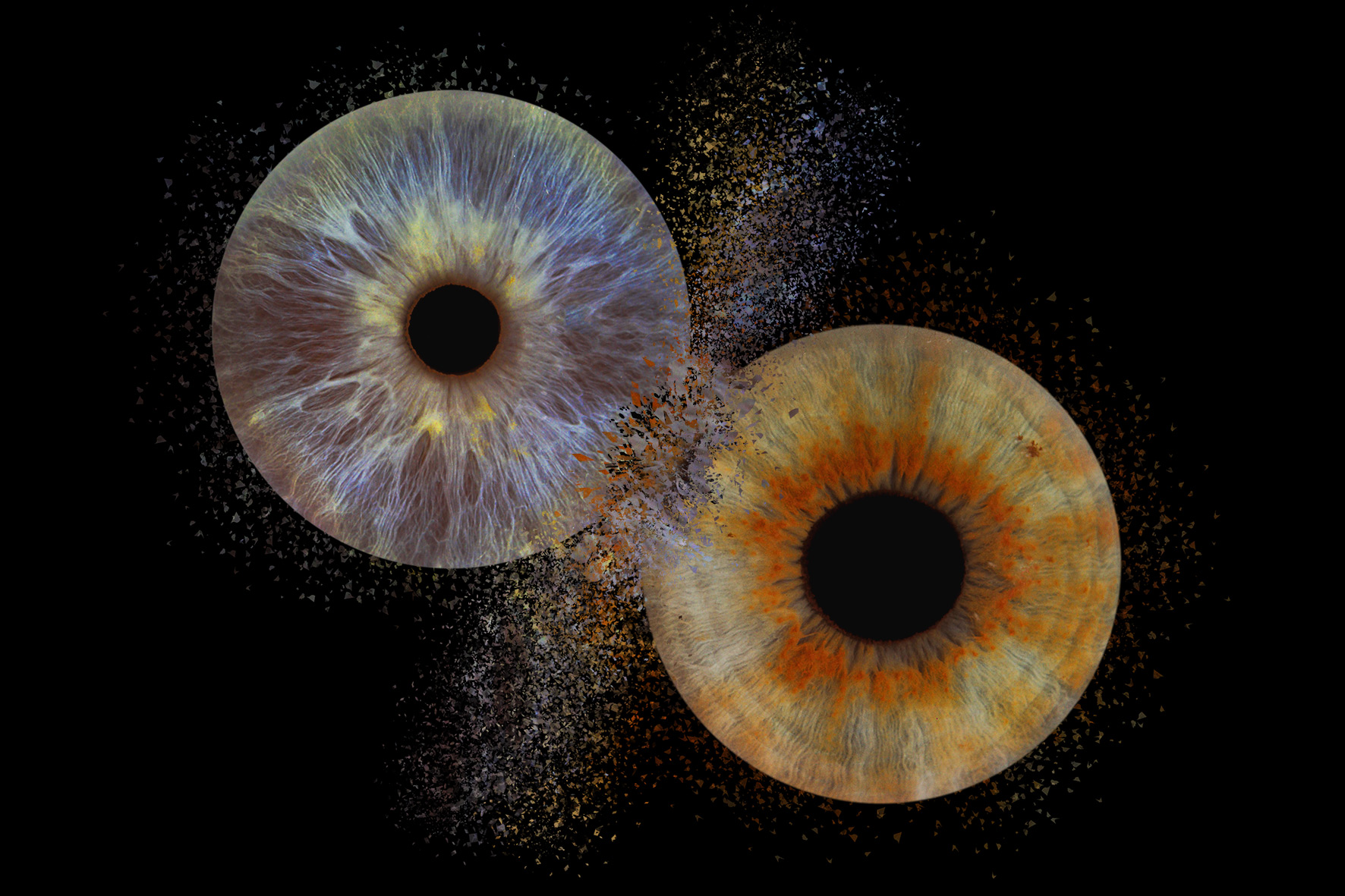 Photo iris couple. Iridologie
